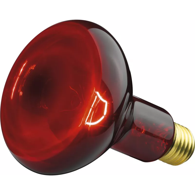 Lámpara infrarroja Beurer IL 11 100 W