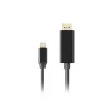 Adaptador USB-C a DisplayPort Lanberg CA-CMDP-10CU-0018-BK Negro 1,8 m