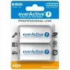 Batería recargable everActive EVHRL20-10000 D NiMH 1,2 V 2 uds.