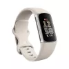 Fitbit GA05185-EU Producto Plata
