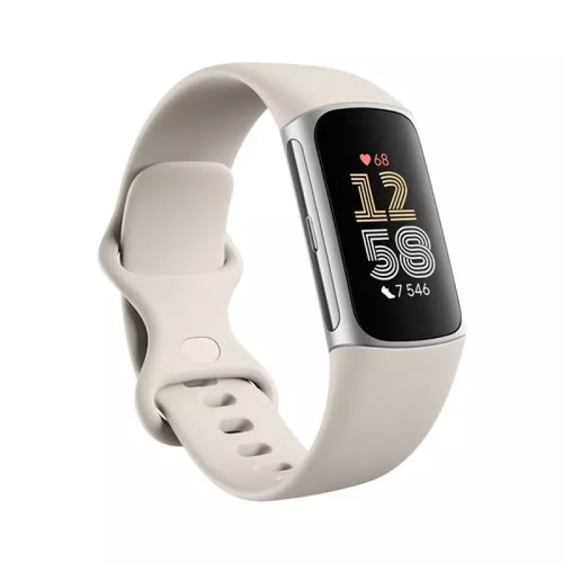 Fitbit GA05185-EU Producto Plata