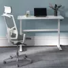 Escritorio Ergo Office regulable en altura manualmente, máx. 40 kg, altura máx. 117 cm, con tablero para trabajar de pie y sentado, ER-401 W