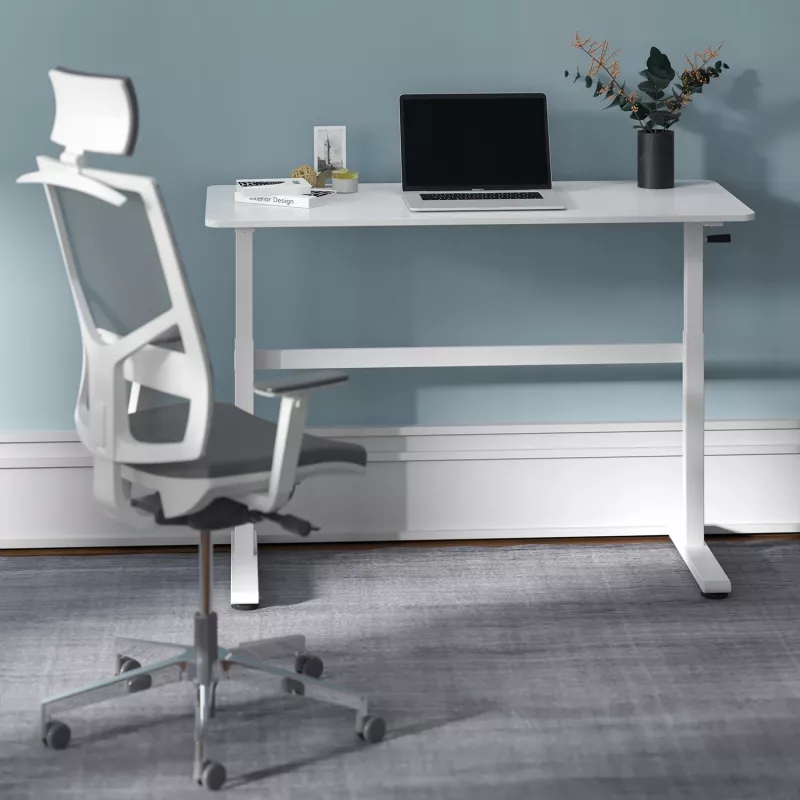 Escritorio Ergo Office regulable en altura manualmente, máx. 40 kg, altura máx. 117 cm, con tablero para trabajar de pie y sentado, ER-401 W