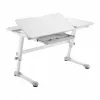 Ergo Office Escritorio infantil ergonómico de altura ajustable, gris, máx. 100 kg, ER-417 2cz