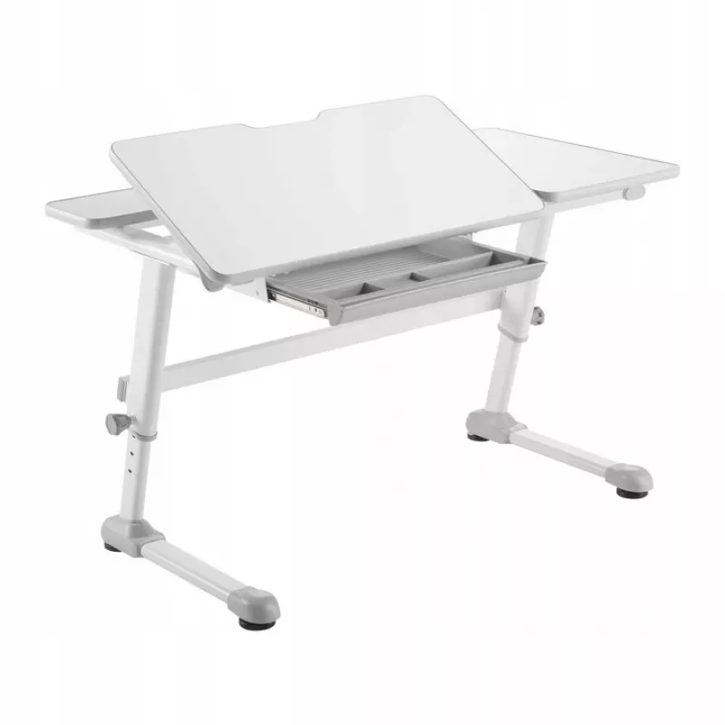 Ergo Office Escritorio infantil ergonómico de altura ajustable, gris, máx. 100 kg, ER-417 2cz