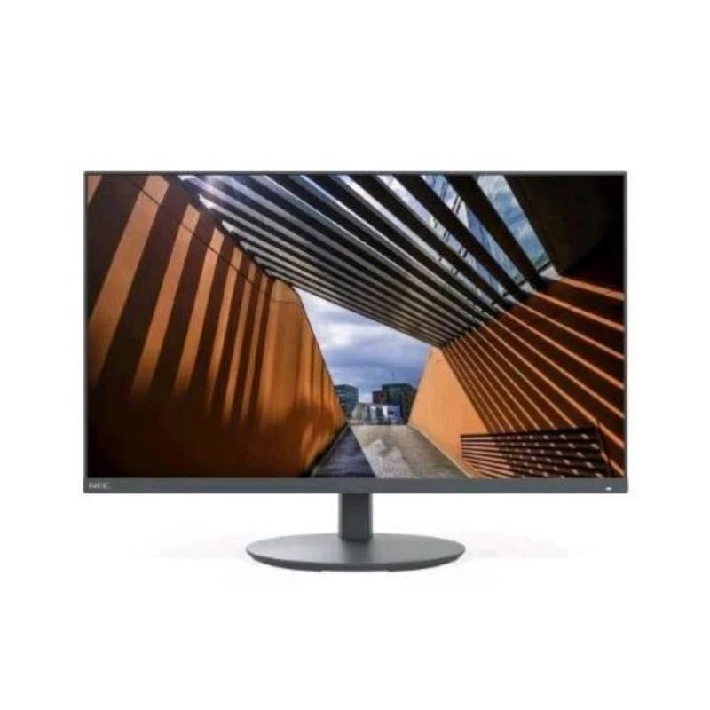 Monitor de ordenador NEC MultiSync E244FL 61 cm (24