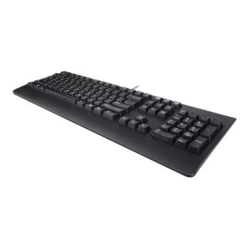 Lenovo 4X30M86918 teclado Office USB QWERTY US inglés negro