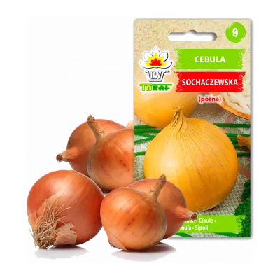 Semillas de hortalizas