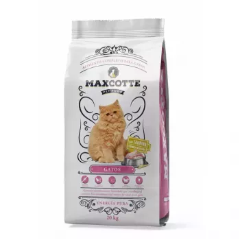 MAXCOTTE Gatos - Comida seca para gatos - 20 kg