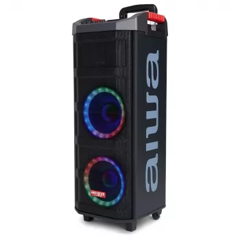 Altavoz AIWA Power Audio KBTUS-608 600W