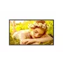 LG 32UL5Q-M 32" 4K UHD pantalla Digital Signage