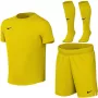 Nike Dri-FIT Park VIII conjunto deportivo para niños pequeños amarillo L