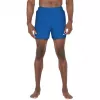 Pantalón corto de baño Nike Essential 5 hombre Game Royal Blue XL