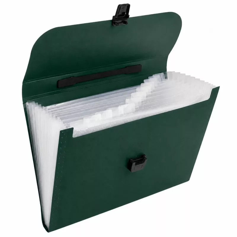 LEAN Organizador de carpetas para documentos, 13 compartimentos, verde, A4, soporte