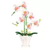 LEAN TOYS orquídea bloques de construcción orquídea en maceta rosa y blanco 718 piezas