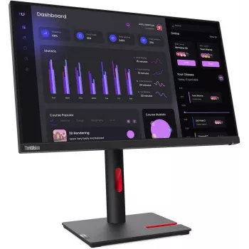 Lenovo T24I-30 monitor (reacondicionado)