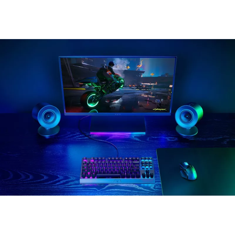 Razer altavoz RZ05-04760100-R3G1 / Nommo V2 X negro