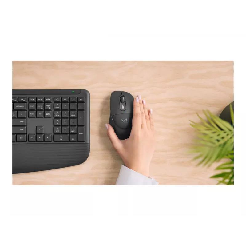 Logitech M850 L for Business ratón inalámbrico - Graphite