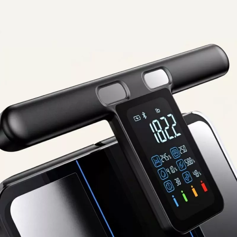 RENPHO MorphoScan MSC01 Báscula, Negro/Plata, USB-C, Bluetooth