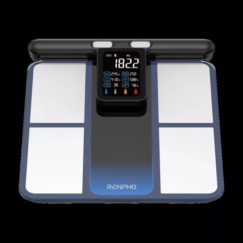 RENPHO MorphoScan MSC01 Báscula, Negro/Plata, USB-C, Bluetooth