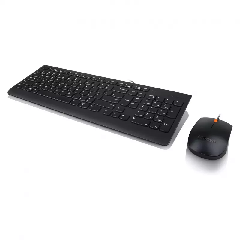 Lenovo 300 Teclado USB - US English QWERTY - negro