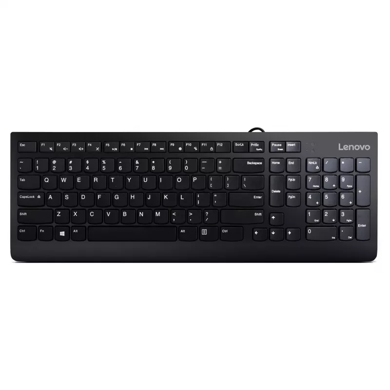 Lenovo 300 Teclado USB - US English QWERTY - negro