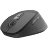 Logitech Signature Comfort Plus M850 L Ratón inalámbrico - Grafito