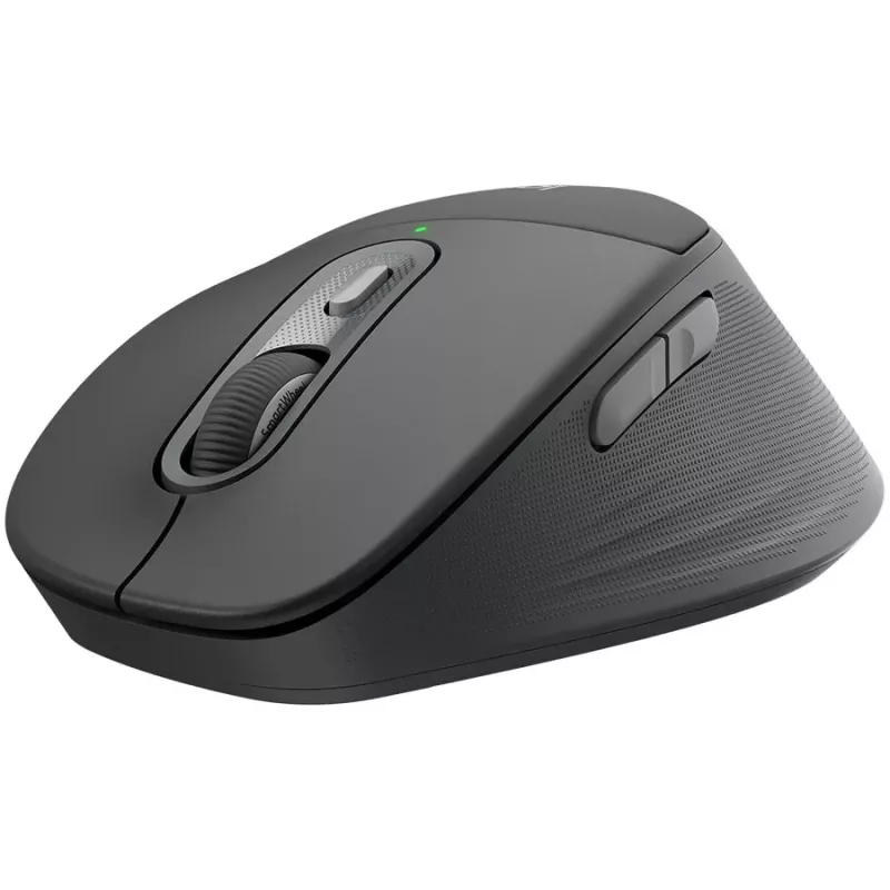 Logitech Signature Comfort Plus M850 L Ratón inalámbrico - Grafito