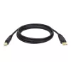 Tripp Lite U022-015 Cable de dispositivo USB 2.0 Hi-Speed A/B, apantallado, macho/macho, 15 ft (4.57 m), Negro