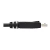 EATON Tripp Lite Series Cable DisplayPort con conectores de bloqueo, 4K 60 Hz (M/M), Negro, 10 ft. (3,05 m)