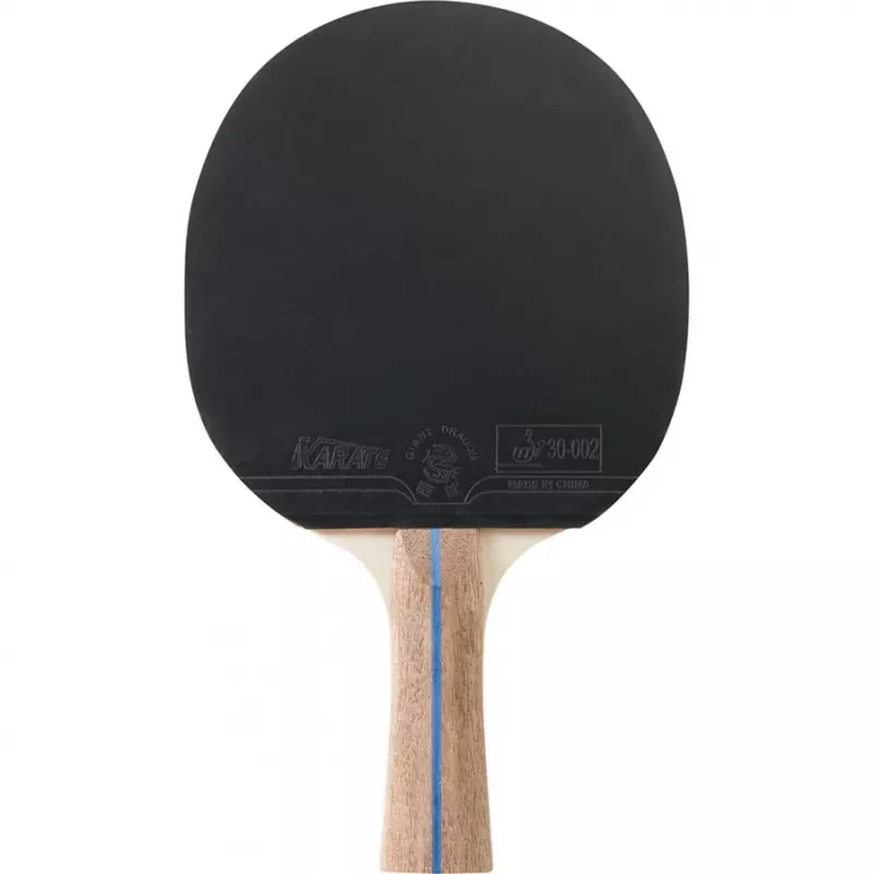 HUDORA Set de tenis de mesa (para 2 jugadores)