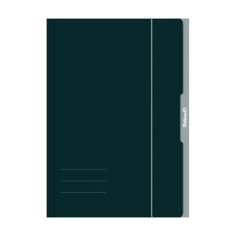 Pelikan 276856 Carpeta de gomas A3 cartón verde