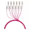 EFB Cable troncal U-DQ ZN BH OM4 12G 1x12 LC-LC 30m Dca LSZH