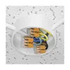 WAGO 221-412 Conector de empalme compacto de 2 conductores, 0,2-4 mm², 100 unidades