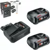 Bosch 18V Starter Set 2 x 2,5 Ah baterías + cargador AL 18V-44 (1600A031T5)