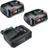 Bosch 18V Starter Set 2 x 2,5 Ah baterías + cargador AL 18V-44 (1600A031T5)