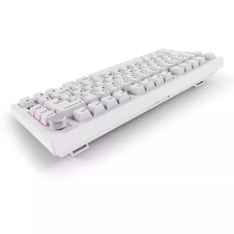 Sharkoon SGK55W SKILLER Teclado gaming inalámbrico, 75% Layout, teclas PBT, blanco