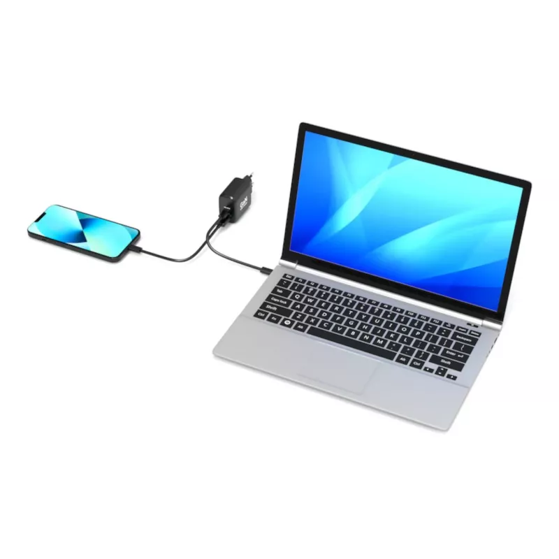 PORT Designs Cargador de pared USB-C PD 65W GaN enchufe EU negro