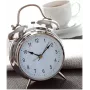 TFA Dostmann 98.1043 Despertador de cuarzo plata