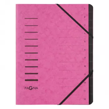 PAGNA 40059-34 carpeta de documentos A4 rosa con goma 320x245x5 mm