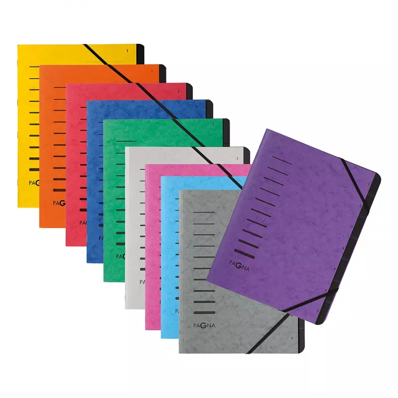PAGNA 40059-34 carpeta de documentos A4 rosa con goma 320x245x5 mm