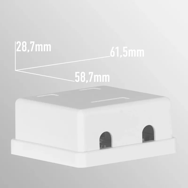 EFB Electronics Toma de conexión Keystone, 2 puertos, superficie, blanco puro, carcasa vacía