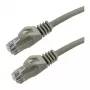 Latiguillo Grafenthal CAT6A U/UTP CU LSZH 0,25m gris