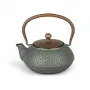 Bredemeijer Jiangxi Tetera de hierro fundido 0,7 L Azul con filtro de acero inoxidable