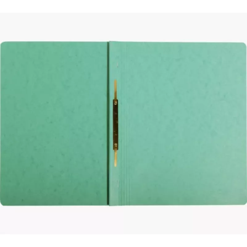 Exacompta Colorspan carpeta de anillas A4 verde 355 g/m² archivo flexible