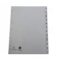 Exacompta separadores índice formato completo enero-diciembre gris 12 partes 1 juego