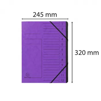 Exacompta carpeta de organización 12 compartimentos violeta Colorspan