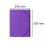 Exacompta carpeta de organización 12 compartimentos violeta Colorspan
