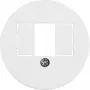 HAGER WTF4000WG placa central con recorte TAE, Berker 1930/Glas, blanco polar brillante