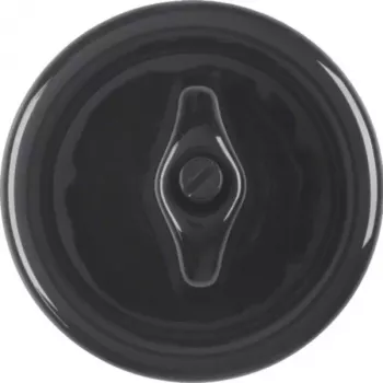 HAGER WTW1000PBG pieza central con interruptor basculante serie 1930 porcelana de Rosenthal